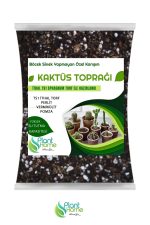 kaktüs toprağı