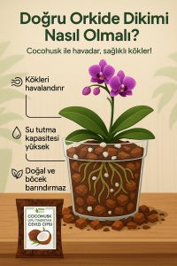 5lt Hindistan Cevizi Kabuğu Cipsi - Coco Cips Cocohusk - Elenmiş Tozsuz Ürün - Görsel 4