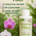 Blossomingmax - Orkideler İçin Dal Ve Çiçek Destekleyici Premium Besin 100 ml