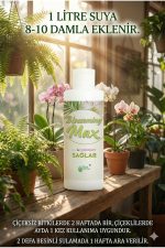 Blossomingmax - Orkideler İçin Dal Ve Çiçek Destekleyici Premium Besin 100 ml - Görsel 5
