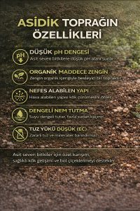 5 Litre – Düşük pH Torf Perlit Karışımı | Yaban Mersini, Açelya, Kamelya, Ortanca, Gardenya - Görsel 2