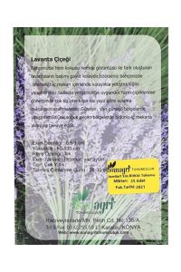 Tohumculuk Lavanta Çiçeği Tohumu ( Ata Tohum ) - Görsel 4