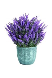 Tohumculuk Lavanta Çiçeği Tohumu ( Ata Tohum ) - Görsel 5