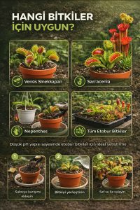 Etobur Bitki Toprağı 5 Litre – Düşük pH Torf Perlit Karışımı | Gübre İçermez, Profesyonel Substrat - Görsel 2