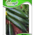 Tohumculuk Hıyar Beith Alpha Salatalık Tohumu 5 Gr ( Ata Tohum )