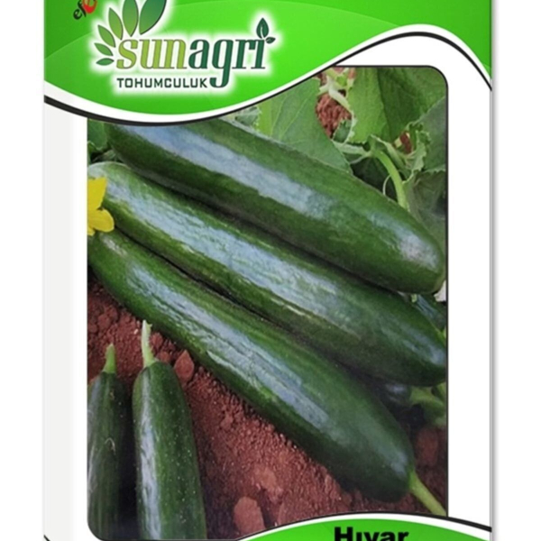 Tohumculuk Hıyar Beith Alpha Salatalık Tohumu 5 Gr ( Ata Tohum )