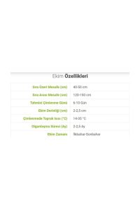 Tohumculuk Hıyar Beith Alpha Salatalık Tohumu 5 Gr ( Ata Tohum ) - Görsel 3
