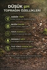 Etobur Bitki Toprağı 5 Litre – Düşük pH Torf Perlit Karışımı | Gübre İçermez, Profesyonel Substrat - Görsel 4