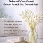 Cam Vazo + Gerçek Pamuk Otu – Gerçek Pamuk Otu Demeti ile Hazır Dekor