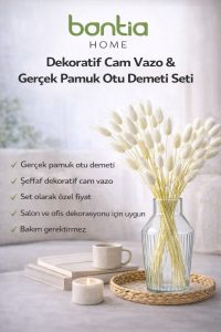 Cam Vazo + Gerçek Pamuk Otu – Gerçek Pamuk Otu Demeti ile Hazır Dekor