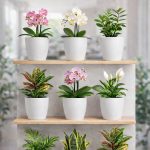 Dekoratif Saksı Seti 9 Adet – 12 cm Üretim Saksısı Uyumlu, Beyaz Saksı, Modern Çiçek Saksısı