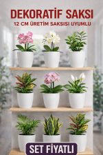 Dekoratif Saksı Seti 9 Adet – 12 cm Üretim Saksısı Uyumlu, Beyaz Saksı, Modern Çiçek Saksısı