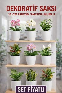 Dekoratif Saksı Seti 9 Adet – 12 cm Üretim Saksısı Uyumlu, Beyaz Saksı, Modern Çiçek Saksısı