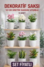 Dekoratif Saksı Seti 9 Adet – 12 cm Üretim Saksısı Uyumlu, Beyaz Saksı, Modern Çiçek Saksısı - Görsel 2