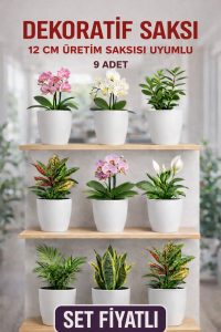 Dekoratif Saksı Seti 9 Adet – 12 cm Üretim Saksısı Uyumlu, Beyaz Saksı, Modern Çiçek Saksısı - Görsel 2