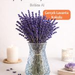 Kesitli Cam Vazo & Gerçek Şoklanmış Lavanta Seti – Birlikte Al Seti