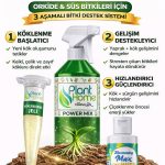 Orkide ve Süs Bitkileri İçin Güçlü Köklendirme Seti | Hızlı Kök Gelişimi & 3’lü Set