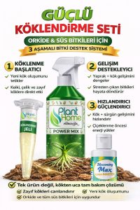 Orkide ve Süs Bitkileri İçin Güçlü Köklendirme Seti | Hızlı Kök Gelişimi & 3’lü Set