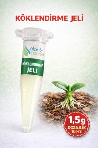Orkide ve Süs Bitkileri İçin Güçlü Köklendirme Seti | Hızlı Kök Gelişimi & 3’lü Set - Görsel 2