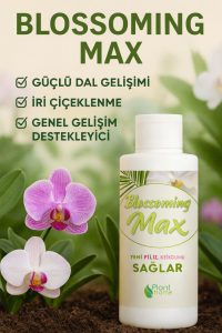 Blossoming Max Güç Seti Orkide ve Süs Bitkileri İçin Kök, Dal ve Çiçek Geliştirici 2’li Set - Görsel 4