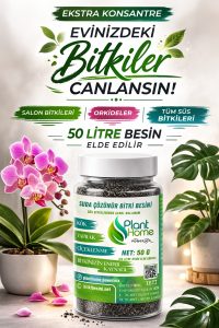 (50 GR) Suda Çözünür Bitki Besini – Konsantre Salon ve Orkide Besini + Sprey Şişe Hediyeli - Görsel 2