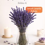 Gerçek Şoklanmış Lavanta ve Cam Vazo Seti – Gerçek Kokulu Dekoratif Lavanta Demeti