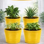 4 Adet Kırılmaz Dekoratif Saksı| 15 cm Üretim Saksısı Uyumlu| Tabaksız Kullanım