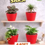 Modern Kırmızı Saksı Seti (4 Adet) | Orkide ve Ev Bitkileri İçin