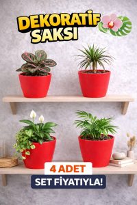 Modern Kırmızı Saksı Seti (4 Adet) | Orkide ve Ev Bitkileri İçin