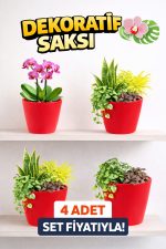 Modern Kırmızı Saksı Seti (4 Adet) | Orkide ve Ev Bitkileri İçin - Görsel 2