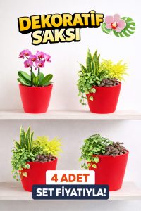 Modern Kırmızı Saksı Seti (4 Adet) | Orkide ve Ev Bitkileri İçin - Görsel 2