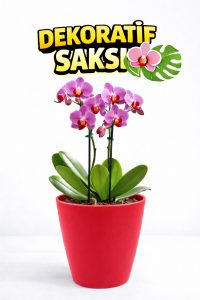 Modern Kırmızı Saksı Seti (4 Adet) | Orkide ve Ev Bitkileri İçin - Görsel 3