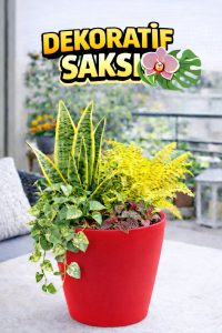 Modern Kırmızı Saksı Seti (4 Adet) | Orkide ve Ev Bitkileri İçin - Görsel 4