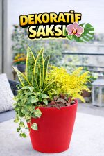 Dekoratif Saksı 12,5 cm | Canlı Kırmızı Renk | 1,25 Litre | Orkide ve Salon Bitkileri İçin - Görsel 2