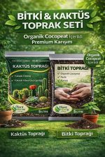 Bitki ve Kaktüs Toprağı Seti 10 L | Organik Cocopeatli | Salon Bitkileri ve Kaktüsler İçin