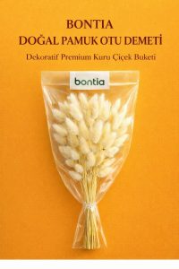 Doğal Pamuk Otu Demeti – Dekoratif Kuru Çiçek, Uzun Ömürlü Premium Lagurus