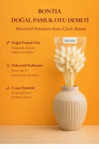 Doğal Pamuk Otu Demeti – Dekoratif Kuru Çiçek, Uzun Ömürlü Premium Lagurus - Görsel 7
