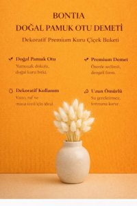 Doğal Pamuk Otu Demeti – Dekoratif Kuru Çiçek, Uzun Ömürlü Premium Lagurus - Görsel 8