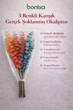 3 Renkli Karışık Gerçek Şoklanmış Okaliptüs Demeti – Dekoratif Okaliptüs - Gerçek Okaliptus