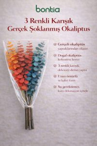 3 Renkli Karışık Gerçek Şoklanmış Okaliptüs Demeti – Dekoratif Okaliptüs - Gerçek Okaliptus