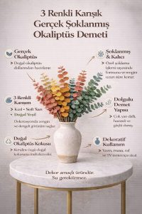 3 Renkli Karışık Gerçek Şoklanmış Okaliptüs Demeti – Dekoratif Okaliptüs - Gerçek Okaliptus - Görsel 2
