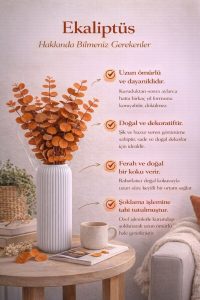 Gerçek Şoklanmış Turuncu Okaliptüs Demeti | Doğal Kokulu | Büyük Yaprak Büyük Demet - Görsel 6