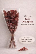 Gerçek Kızıl Şoklanmış Okaliptüs Demeti | Doğal Dekoratif Okaliptus - Görsel 3