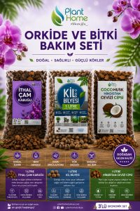 İthal Çam Kabuğu, Kil Bilyesi ve Coco Husk İçeren Profesyonel Orkide Toprağı Değişim Seti
