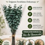 Doğal Yeşil Okaliptüs Demeti – Gerçek Okaliptüs, Şoklanmış Büyük Okaliptus Demeti