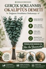 Doğal Yeşil Okaliptüs Demeti – Gerçek Okaliptüs, Şoklanmış Büyük Okaliptus Demeti