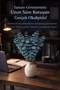 Doğal Yeşil Okaliptüs Demeti – Gerçek Okaliptüs, Şoklanmış Büyük Okaliptus Demeti - Görsel 3