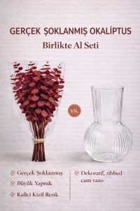 Kızıl Şoklanmış Gerçek Okaliptüs ve Cam Vazo Seti – Doğal Kokulu, Uzun Ömürlü Dekoratif Set - Görsel 4