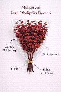 Kızıl Şoklanmış Gerçek Okaliptüs ve Cam Vazo Seti – Doğal Kokulu, Uzun Ömürlü Dekoratif Set - Görsel 6