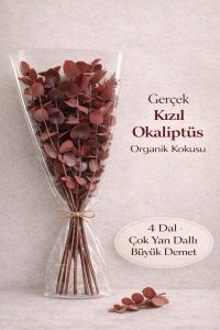 Şoklanmış Gerçek Büyük Okaliptüs Demeti ve Cam Vazo Seti – Kızıl Renk Özel Tür Renkli Bitki - Görsel 2